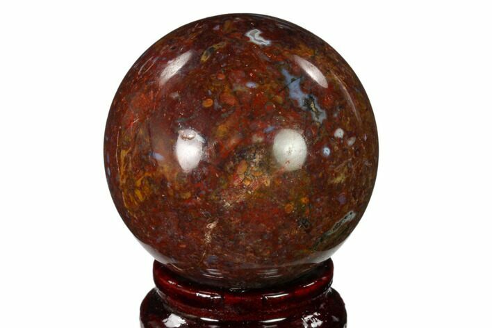 Colorful, Polished Petrified Palm Root Sphere - Indonesia #150124